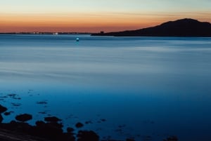 Dublin: Howth New Year's Eve Fireworks Cruise