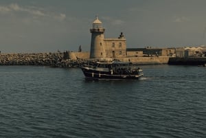 Dublin: Howth New Year's Eve Fireworks Cruise