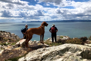 Dublin: Howth Peninsula Coastal Hiking Tour