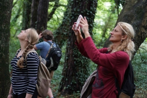 Dublin: Howth Peninsula Coastal Hiking Tour