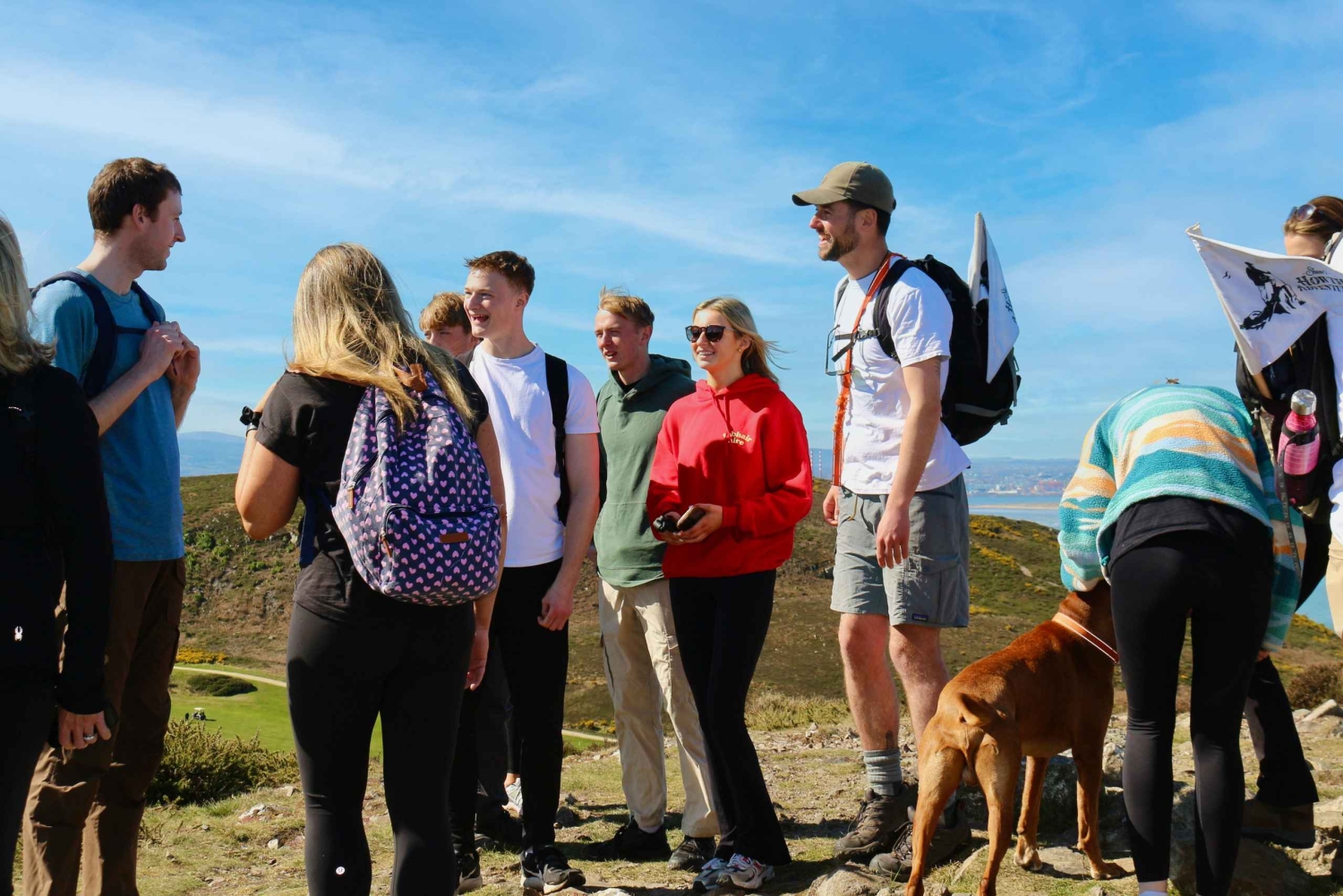 Dublin: Howth Safari Wandertour