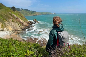 Dublin: Howth Safari Wandertour