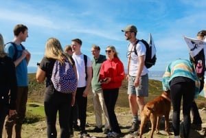 Dublin: Howth Safari Wandertour