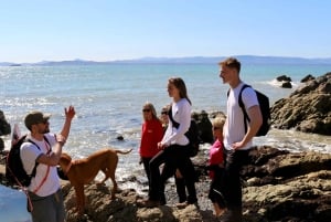 Dublin: Howth Safari Wandertour