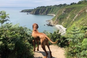 Dublin: Howth Safari Wandertour