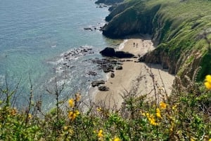 Dublin: Howth Safari Wandertour