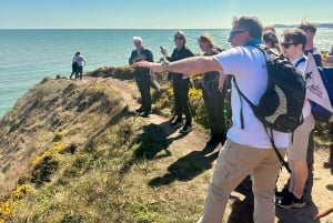 Dublin: Howth Safari Wandertour