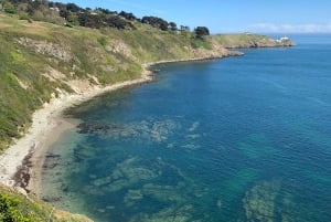 Dublin: Howth Safari Wandertour