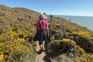 Dublin: Howth Safari Wandertour