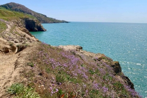 Dublin: Howth Safari Wandertour