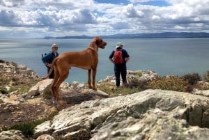 Dublin: Howth Safari Wandertour