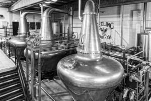 Dublin: Trinity College, Castle, Guinness and Whiskey Tour