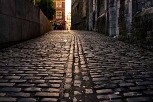 Dublin: Trinity College, Castle, Guinness and Whiskey Tour