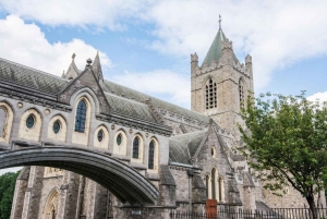 Dublin: Insta-Perfecte wandeling met een plaatselijke bewoner