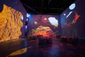 Dublin: Ireland's largest Immersive Family Experience