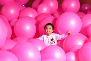 Dublin: Ireland's largest Immersive Family Experience