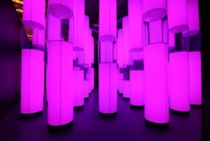 Dublin: Ireland's largest Immersive Family Experience