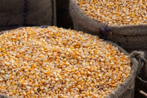 Dublin: Inngangsbillett til Irish Famine Exhibition