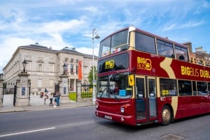 Dublin: Destylarnia whiskey Jameson i wycieczka autobusowa Hop-on Hop-off