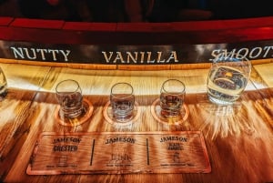 Dublino: Tour della distilleria di whisky Jameson con degustazioni