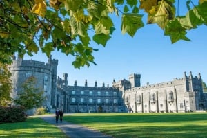 Dublin: Kilkenny, Wicklow & Glendalough Tour & Sheepdog Show