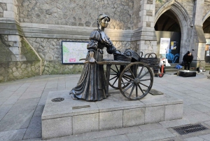 Visite à pied des monuments de Dublin