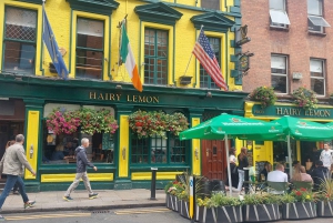 Dublin Landmarks Vandringstur