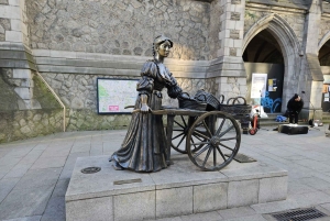 Dublin Landmärken Rundvandring