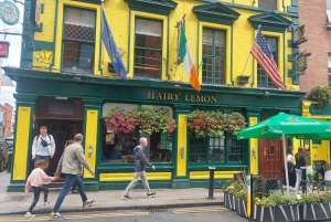 Dublin Landmärken Rundvandring