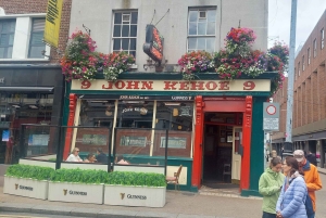 Dublin Landmärken Rundvandring