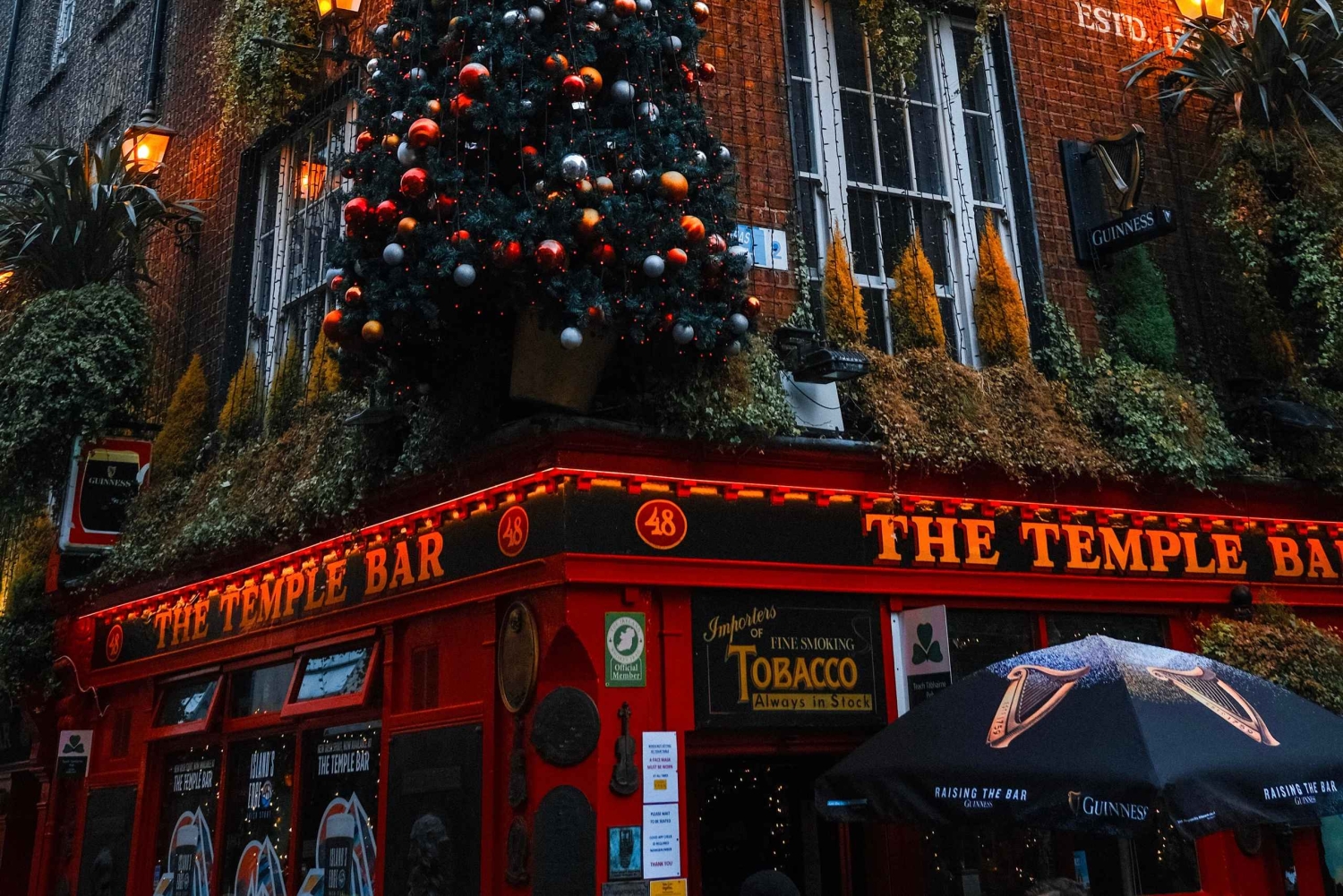 Dublin: magische kerst, mythen en legendes privérondleiding