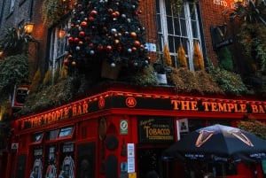 Dublin: Magic Christmas, Myths & Legends Privat guidet tur