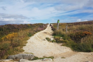 Dublin : randonnée dans les montagnes et les mégalithes