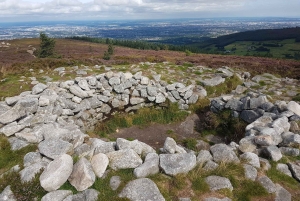 Dublin : randonnée dans les montagnes et les mégalithes
