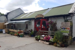 Dublin : randonnée dans les montagnes et les mégalithes