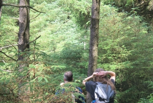Dublin : randonnée dans les montagnes et les mégalithes
