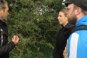 Dublin : randonnée dans les montagnes et les mégalithes