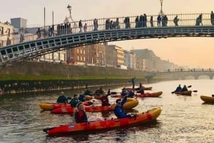 Dublin: kajaktocht met muziek onder de bruggen