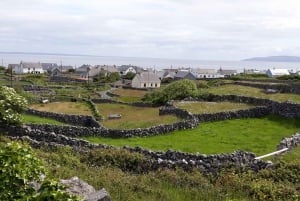 Dublin: Nature & Hiking in Howth (Walking Tour)