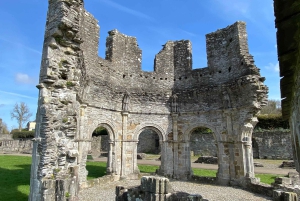 Dublin: Newgrange and Boyne Valley Private Day Trip