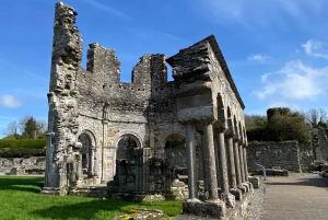 Dublin: Newgrange and Boyne Valley Private Day Trip