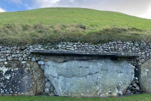 Dublin: Newgrange and Boyne Valley Private Day Trip