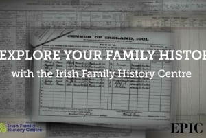 Dublin: Personalised Consultation with a Genealogist