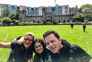 Dublin: Personalized Private Tour with a Local Host