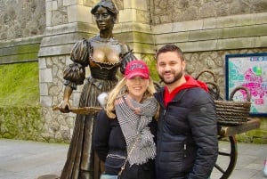 Dublín: Visita Privada Personalizada con un Anfitrión Local