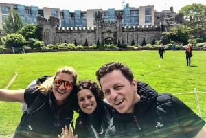 Dublin: Personalisierte private Tour mit einem lokalen Gastgeber