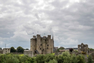 Dublin: Private Boyne Valley and Trim Castle Day Tour
