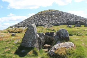 Dublin: Private Boyne Valley and Trim Castle Day Tour