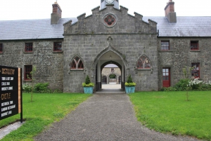 Dublin: Privat dagstur til Boyne Valley og Trim Castle