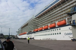 Dublin: Privat dagstur til Boyne Valley og Trim Castle